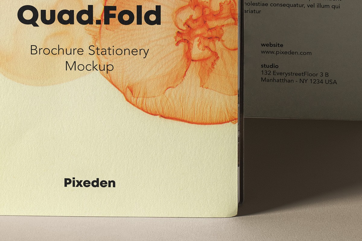 Quad Fold Brochure and Business Card Mockup