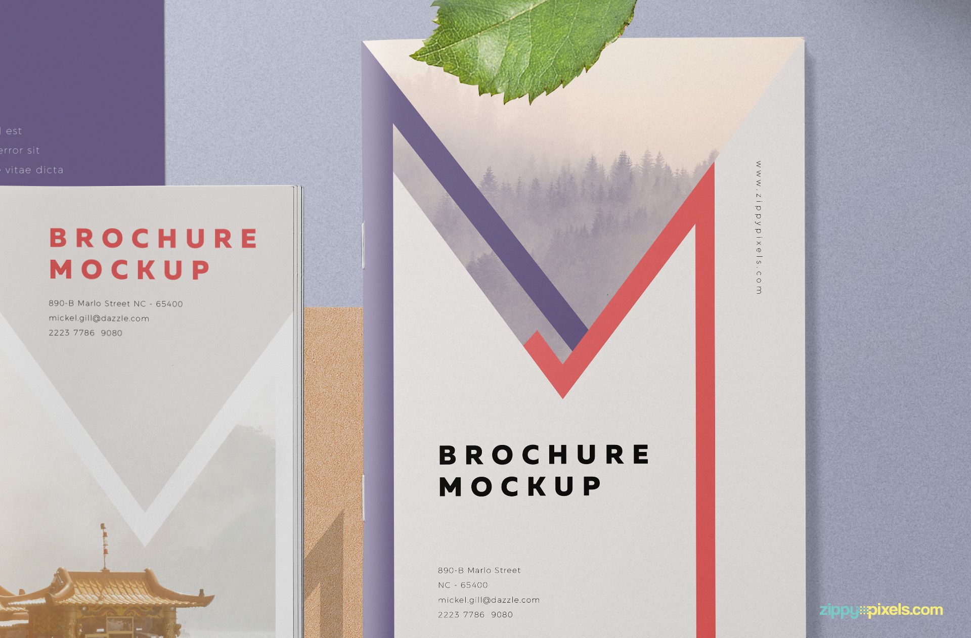 Free A5 Brochure Mockup PSD - Free Mockup Download