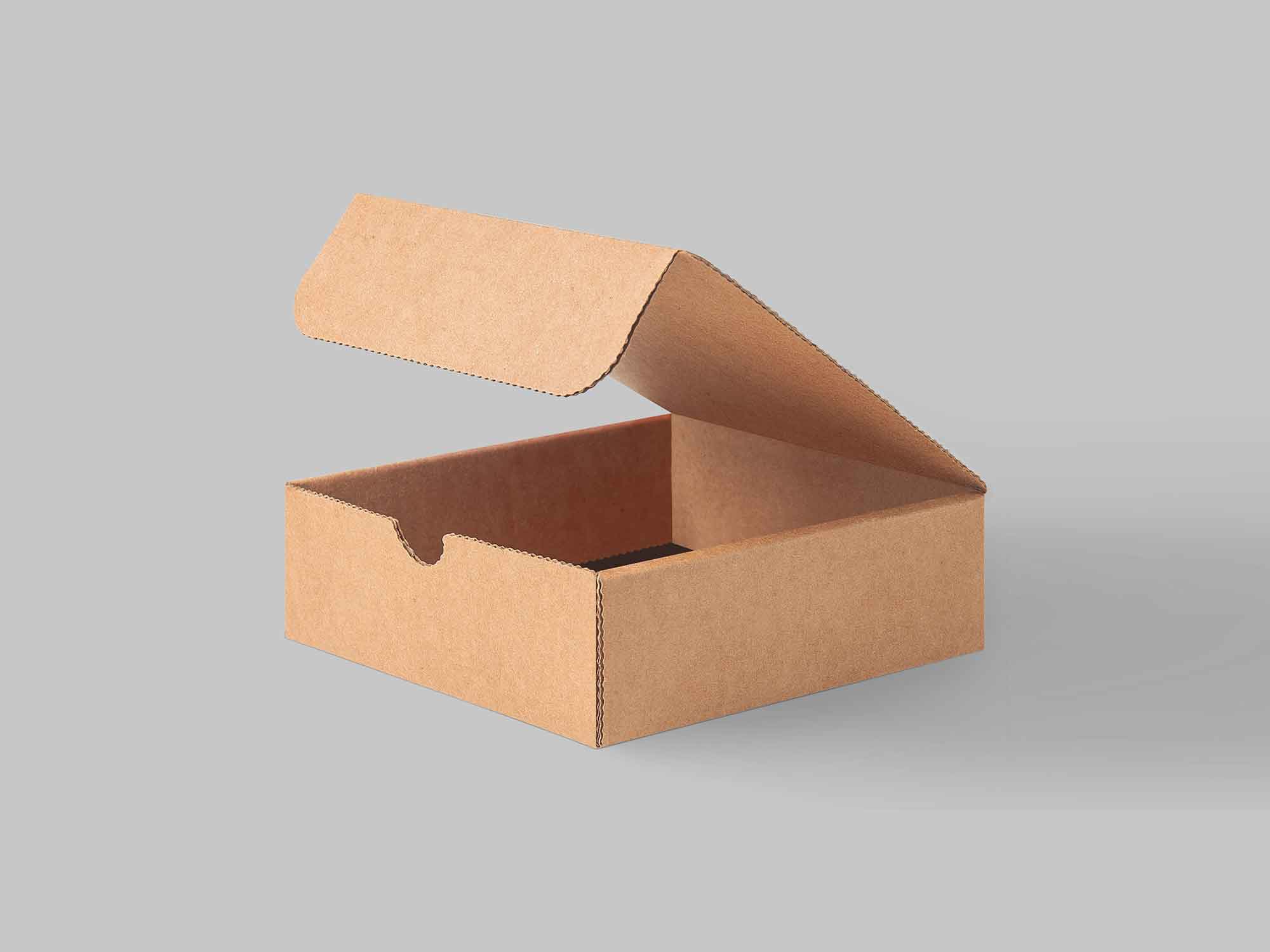 Free Carton Packing Box Mockup