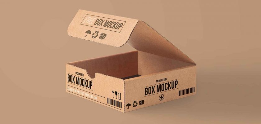Free Carton Packing Box Mockup