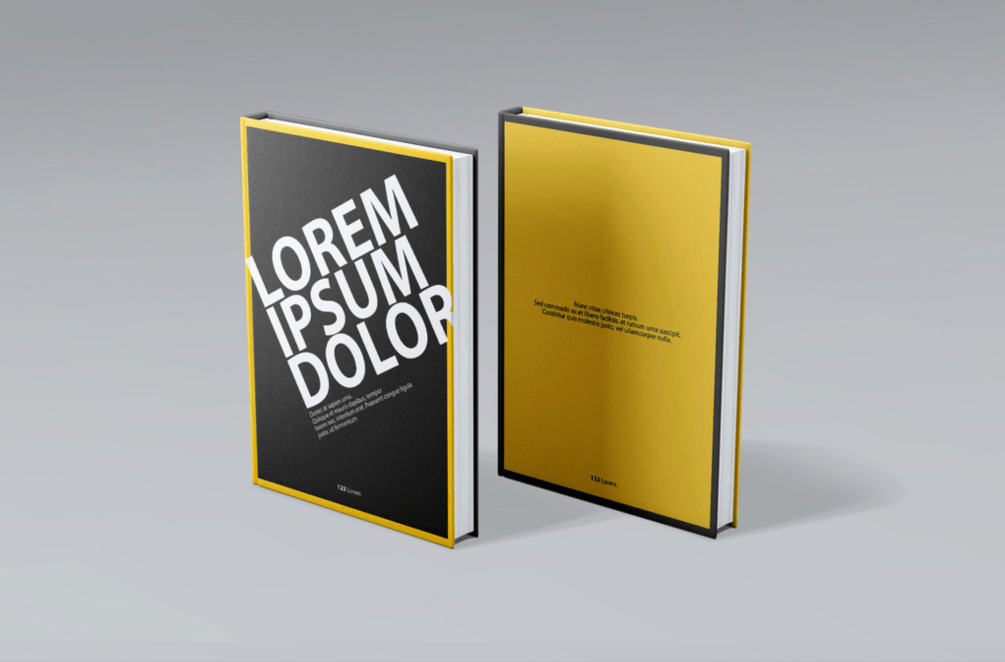 Front and Back Book Cover Mockup 